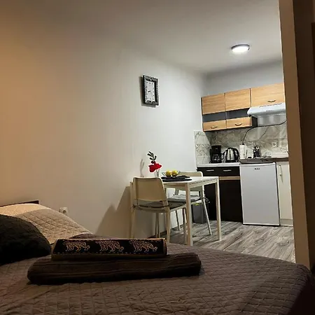 Studio Apartman Rijeka * Rijeka