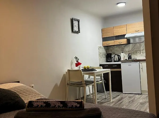 Studio Apartman Rijeka * Rijeka